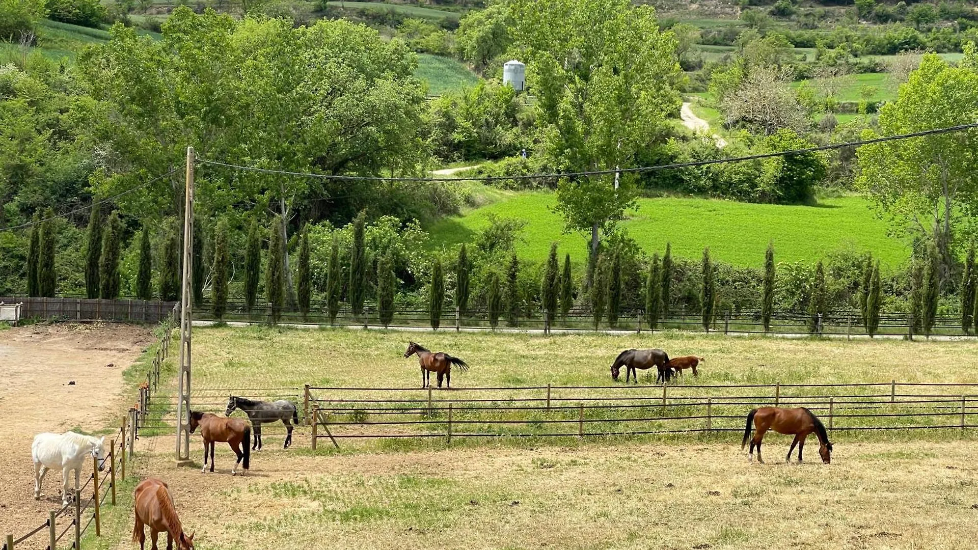 Apartment Touristic Ballonga Horses Solsona